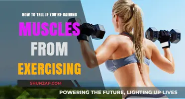 Signs You're Building Muscle: Tracking Exercise Progress Effectively