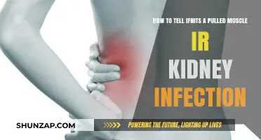 Pulled Muscle or Kidney Infection: Key Symptoms to Differentiate