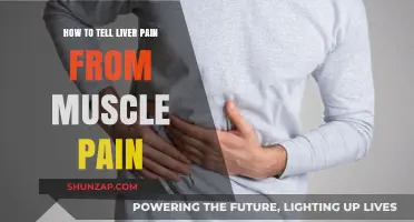 Liver Pain vs. Muscle Pain: Key Differences and Symptoms to Watch
