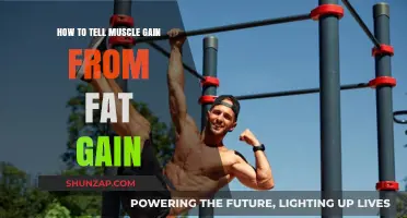 Muscle or Fat Gain: How to Spot the Difference