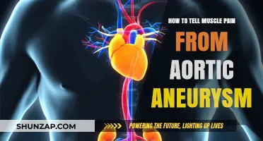 Muscle Pain or Aortic Aneurysm: Key Symptoms to Differentiate