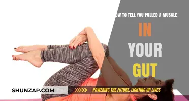 Gut Muscle Strain: Recognizing Symptoms and Recovery Tips