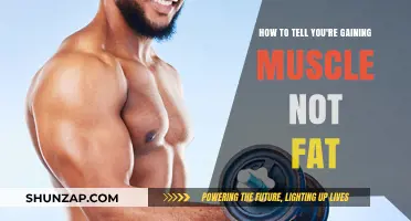 Muscle vs. Fat: Signs You're Building Lean Mass Effectively