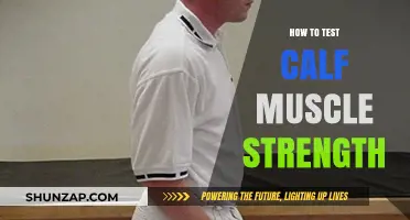 Assessing Calf Muscle Power: A Comprehensive Guide for Fitness Enthusiasts