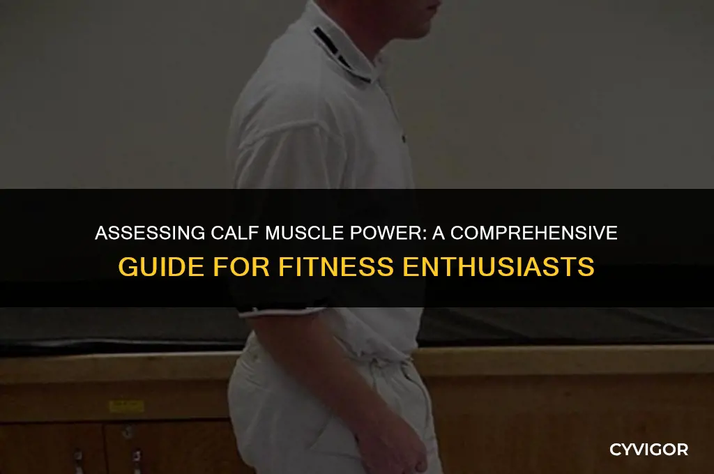 how to test calf muscle strength