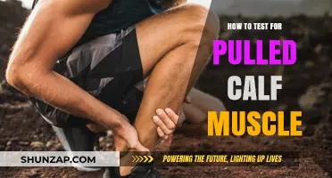 Effective Methods to Diagnose a Pulled Calf Muscle at Home
