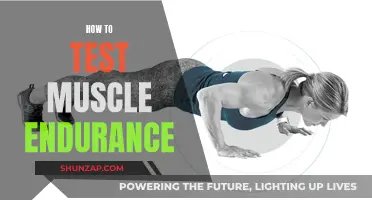 Testing Muscle Endurance: Strategies and Techniques