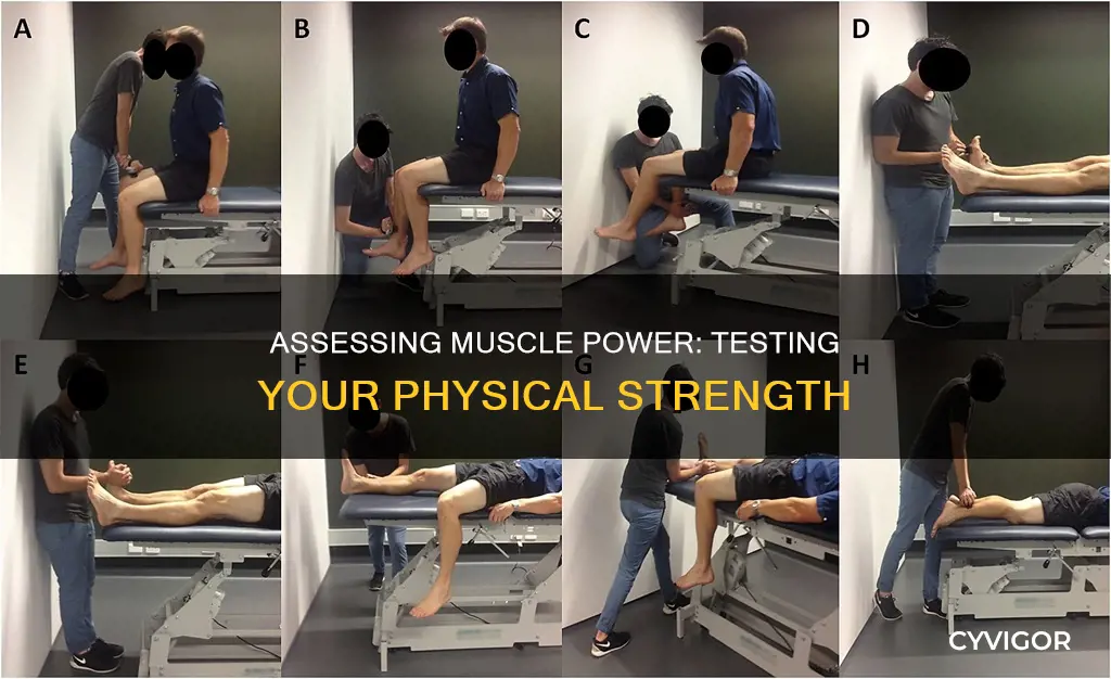 how to test muscle power