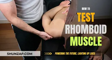 Testing Your Rhomboid Muscle: A Step-by-Step Guide