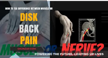 Muscle vs. Disc Back Pain: Identifying the Source and Relief
