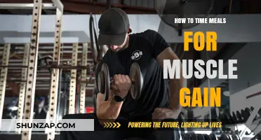 Optimize Meal Timing for Maximum Muscle Growth and Recovery