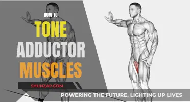 Toning Adductor Muscles: Simple and Effective Strategies