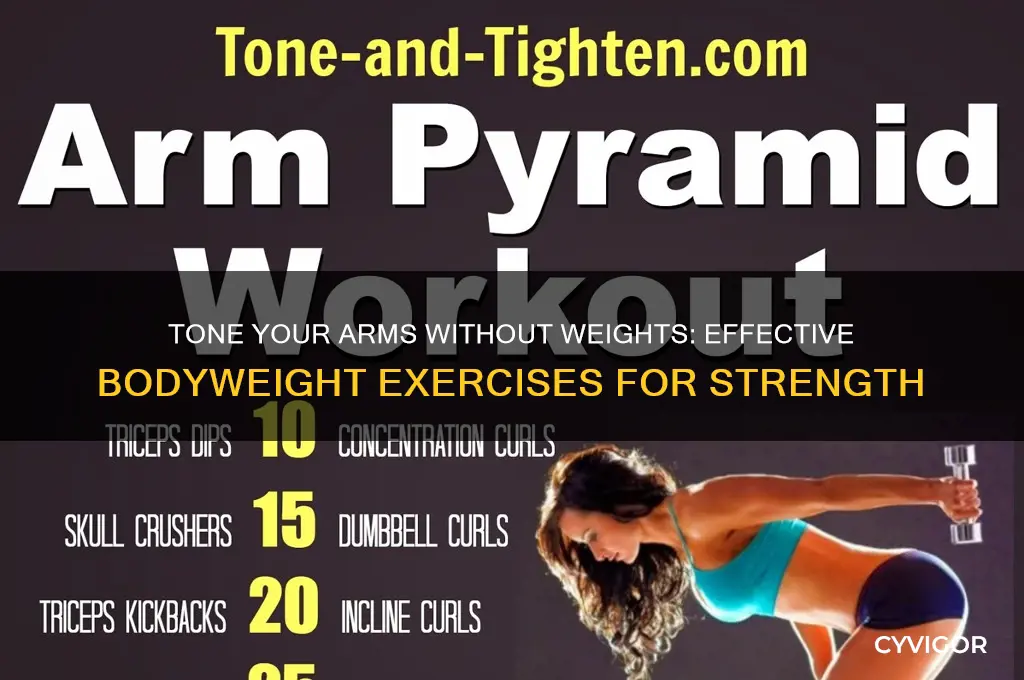 how to tone arm muscles without weights