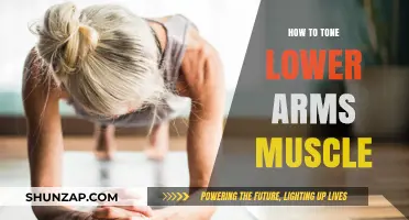 Effective Lower Arm Toning Exercises for Stronger, Defined Muscles