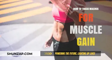 Mastering Macro Tracking: Fuel Your Muscle Gain Journey Effectively