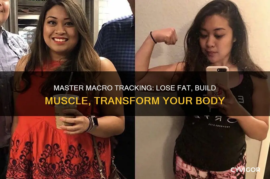 how to track macros to lose fat and gain muscle