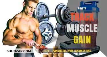Effective Strategies to Monitor and Measure Your Muscle Gain Progress