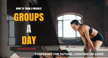 Maximize Gains: Efficiently Training Two Muscle Groups Daily