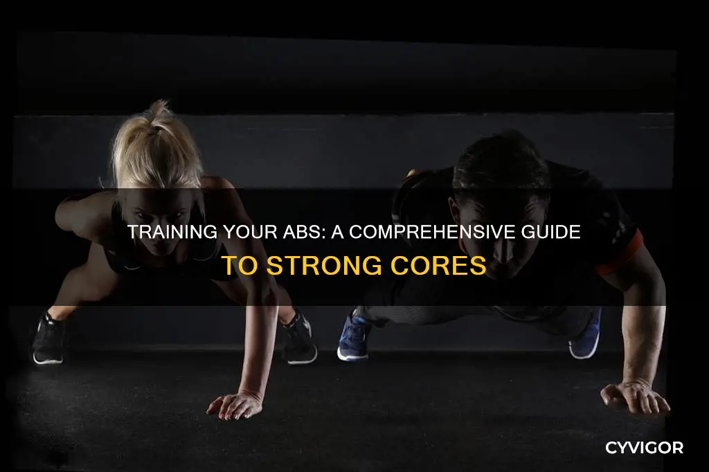 how to train abdomen muscles