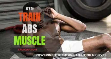 Training Your Abs: A Guide to Chiseled Success