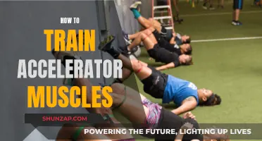 Training Accelerator Muscles: Techniques for Optimal Performance