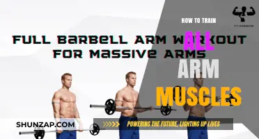 Effective Arm Workout: Train Biceps, Triceps, and Forearms Simultaneously