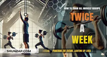 Maximize Gains: Training All Muscle Groups Twice Weekly Effectively