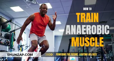 Training Anaerobic Muscles: Maximizing Power and Performance
