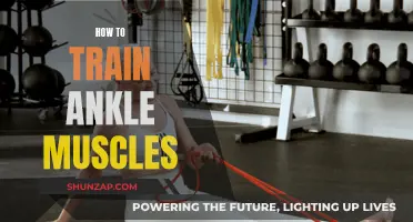 Training Ankles: Strengthening the Lower Leg and Foot