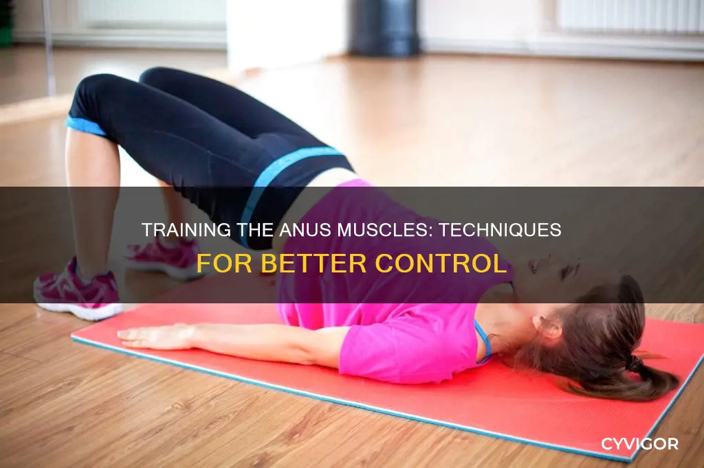 How To Tighten Anus Muscles Fast