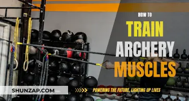Archery Muscle Training: Techniques for Precise Power