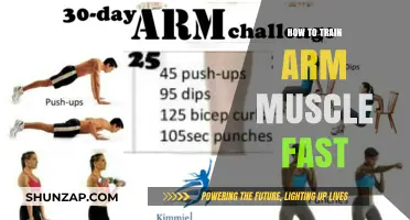 Effective Arm Muscle Training: Quick Tips for Fast Results