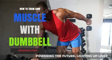 Effective Dumbbell Workouts to Build Stronger, Toned Arm Muscles