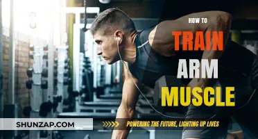 Effective Arm Muscle Training: Tips, Exercises, and Techniques for Strength