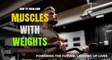 Effective Weight Training Techniques to Build Stronger Arm Muscles
