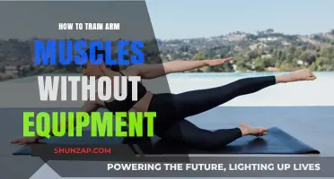Effective Arm Muscle Training: Equipment-Free Exercises for Strength and Tone