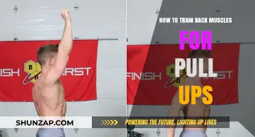 Master Pull-Ups: Effective Back Muscle Training Techniques and Tips
