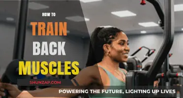 Strengthen Your Back: A Comprehensive Guide to Muscle Training