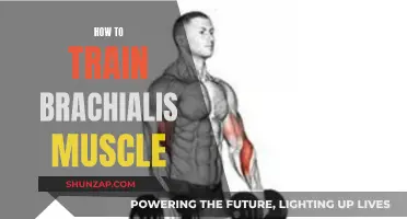 Training the Brachialis Muscle: Techniques for Maximum Results