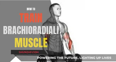 Training the Brachioradialis: A Guide to Building Strong Arms