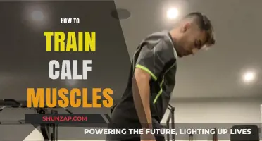 Effective Calf Muscle Training: Tips and Exercises for Strong, Toned Calves