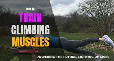Climbing Muscles: Training for Power and Endurance