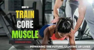 Training Your Core: A Guide to Strengthening Your Midsection