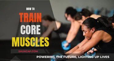 Training Your Core: A Guide to Strong Abs and Back