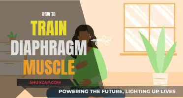 Training Your Diaphragm Muscle: Techniques for Breath Control