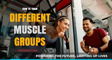 Effective Strategies to Train and Strengthen Diverse Muscle Groups