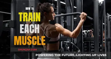 Training Muscle Groups: A Comprehensive Guide to Building Strength