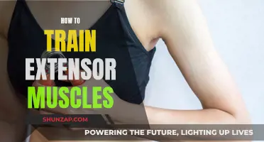 Training Extensor Muscles: Techniques for Strength and Flexibility