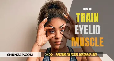 Training Eyelid Muscles: Simple and Effective Techniques for Beginners