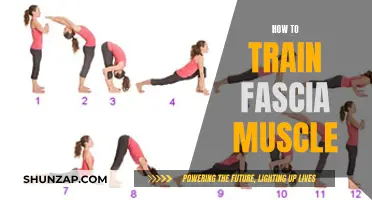 Training Fascia Muscles: Unlocking Athletic Performance and Injury Prevention